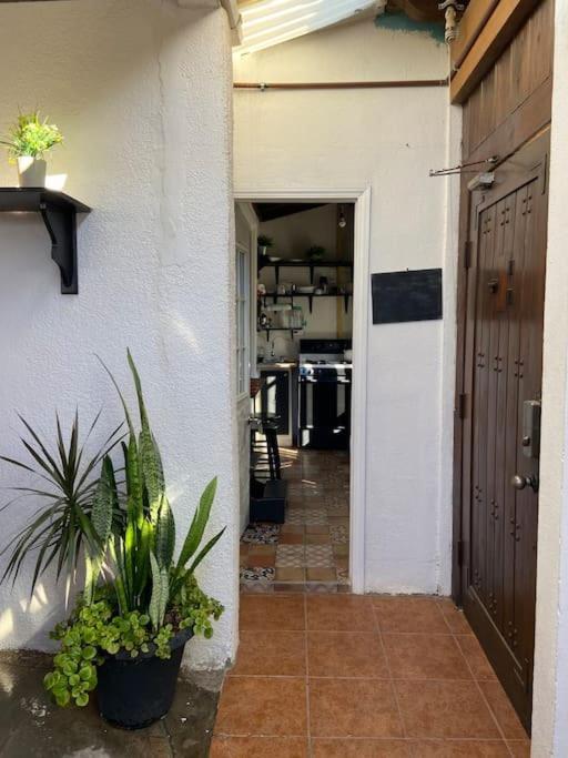 Jaguar Studio Tijuana Extérieur photo